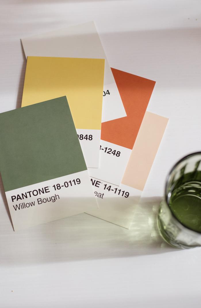 Encres Pantone vs encres quadrichromie : comment choisir ?